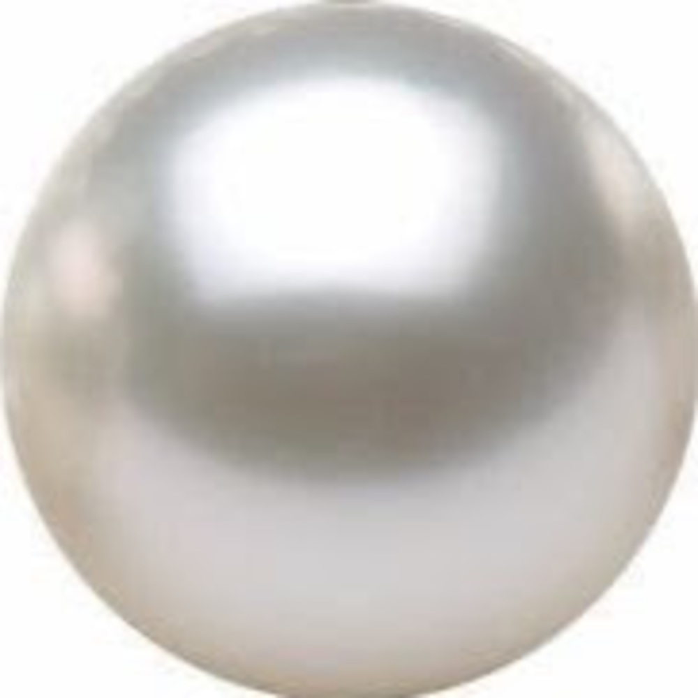 Meet your Posher, Bailey